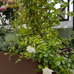 Esempio di un piccolo patio o portico eclettico nel cortile laterale con un giardino in vaso, piastrelle e un parasole