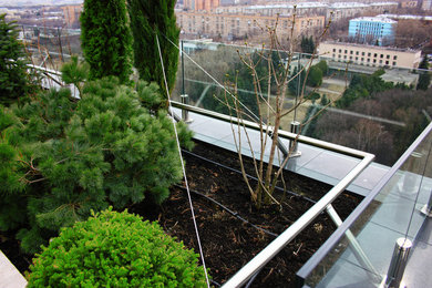 Свежая идея для дизайна: терраса на крыше с растениями в контейнерах без защиты от солнца - отличное фото интерьера