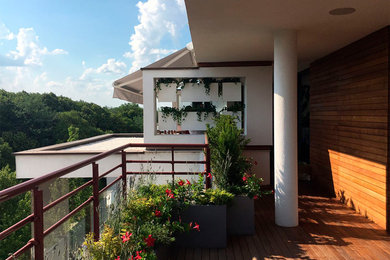 Foto de terraza minimalista de tamaño medio en azotea con jardín vertical y toldo