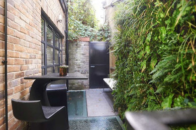 Inspiration for a medium sized contemporary back terrace in London with a living wall and a roof extension.