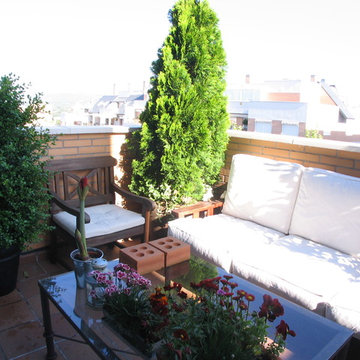 Terraza con vida