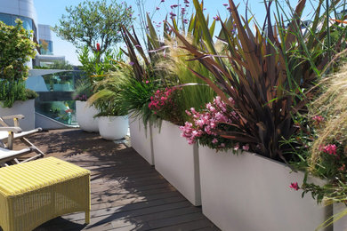 Immagine di una terrazza minimalista di medie dimensioni con nessuna copertura