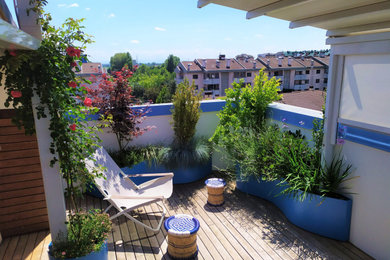 Foto di una piccola terrazza design sul tetto con un giardino in vaso e una pergola