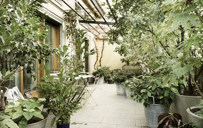 Italian Houzz: A Light, Bright Family Apartment in a Lush Urban Oasis