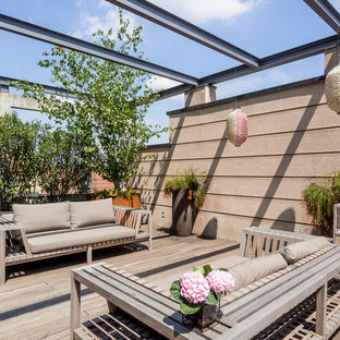 Esempio di una terrazza design sul tetto e sul tetto con un giardino in vaso e nessuna copertura
