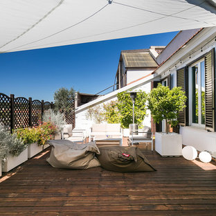 Ispirazione per una terrazza contemporanea con un giardino in vaso e un parasole