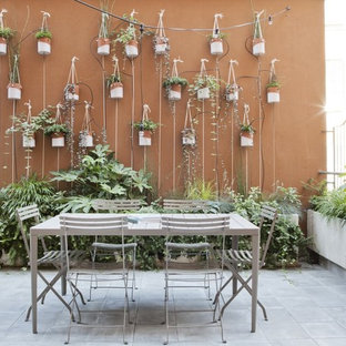 Immagine di una piccola terrazza design nel cortile laterale con nessuna copertura