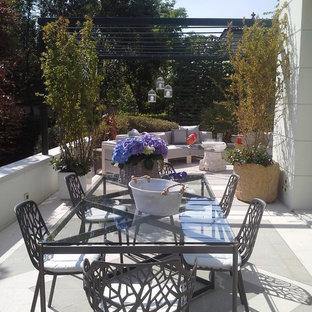 Ispirazione per una terrazza design di medie dimensioni e nel cortile laterale con un giardino in vaso
