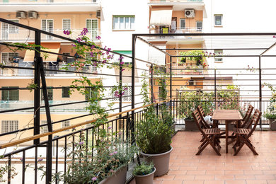 Photo of a medium sized contemporary terrace in Rome with a potted garden and a pergola.