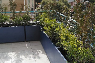 Foto di una terrazza costiera di medie dimensioni e sul tetto con un giardino in vaso e nessuna copertura