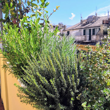 Terrazzo fiorito in centro città a Genova