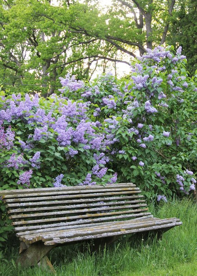 Klassisch Garten by Hus och Grönska