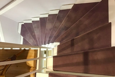 Moderne Treppe mit Teppich-Treppenstufen in Hamburg