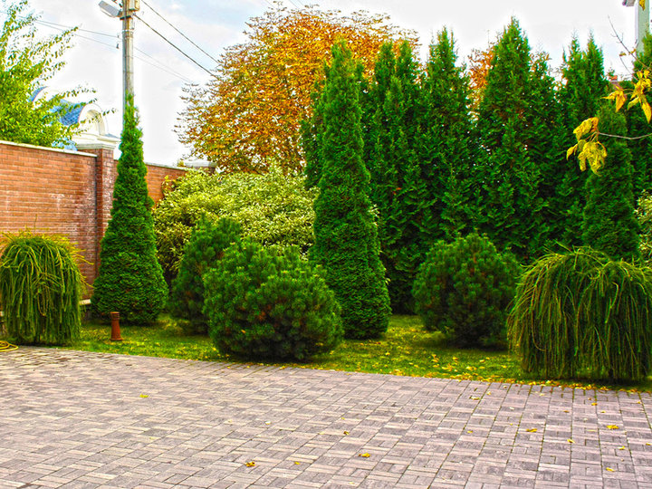 Contemporary Landscape - Concrete Pavers