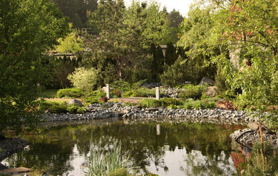 Проект недели: Сад с каменистым ручьём у пруда