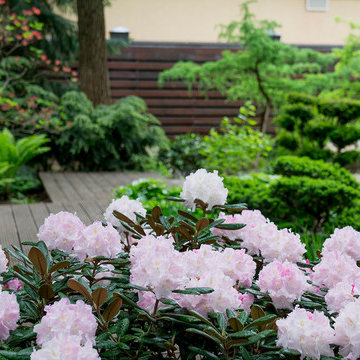 Сад с японским характером в КП  "Ландшафт", Усово 2010 г