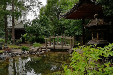 Свежая идея для дизайна: весенний японский сад среднего размера на заднем дворе в восточном стиле с полуденной тенью - отличное фото интерьера