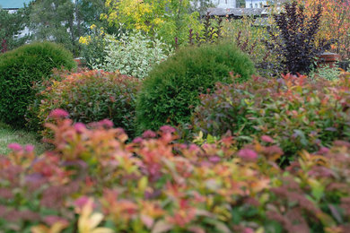 Réalisation d'un petit jardin sur cour tradition l'automne avec une exposition ensoleillée.