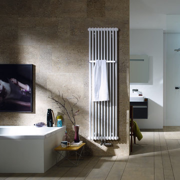 Zehnder Charleston в интерьере