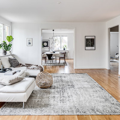 Living room - mid-sized scandinavian enclosed medium tone wood floor and beige floor living room idea in Malmo with white walls and no fireplace