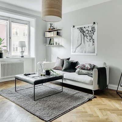 Living room - small scandinavian enclosed beige floor and light wood floor living room idea in Stockholm with gray walls