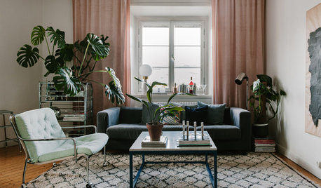 My Houzz: Lush Houseplants and Vintage Finds in a Stylish Flat