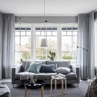 Idéer för ett minimalistiskt vardagsrum, med grå väggar och målat trägolv
