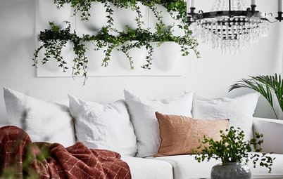How to Style Your Home With House Plants (and Their Accessories)