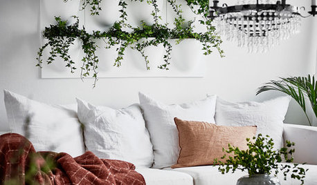 10 Ideas for Styling Your Home With House Plants