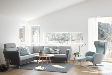 Design ideas for a scandinavian living room in Other.