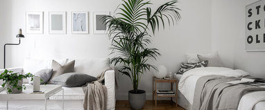 ブルー以外も効果いろいろ 集中できる部屋の色選び Houzz ハウズ