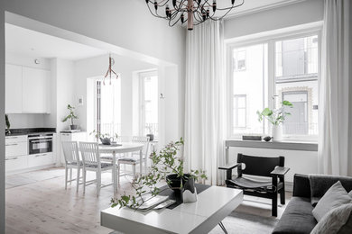Example of a minimalist living room design in Gothenburg