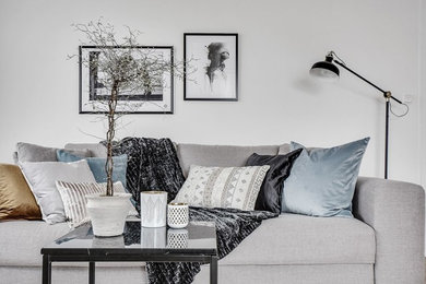 Esempio di un soggiorno scandinavo