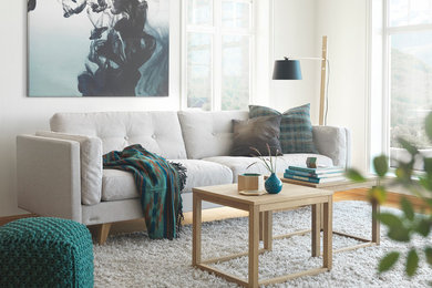 Scandinavian living room in Other.