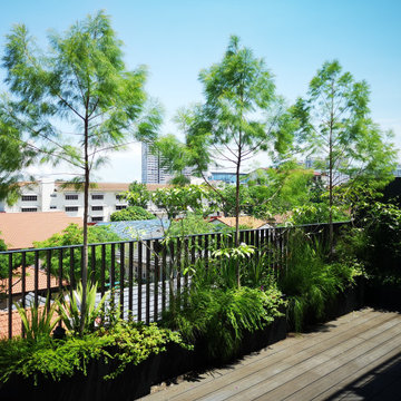 Modern Semi-D garden
