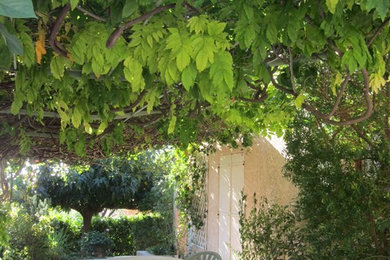 reprise complète d'un jardinet à Toulon