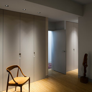 Foto di un armadio o armadio a muro unisex minimal di medie dimensioni con ante lisce, pavimento in compensato e ante grigie