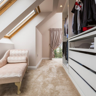 Design ideas for a small classic gender neutral walk-in wardrobe in Other with flat-panel cabinets, grey cabinets, carpet and beige floors.