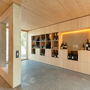 Cette image montre une grand cave à vin nordique avec un présentoir.