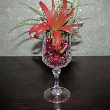 Air plants in wine glass center piece