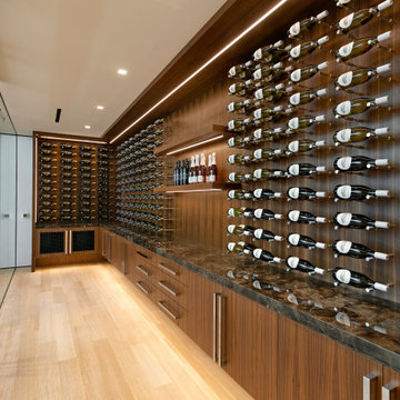 75 Contemporary Wine Cellar Ideas You Ll Love July 2022 Houzz - Wine Cellar Wall Ideas
