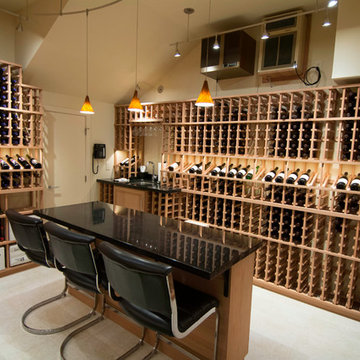 Casual contemporary/modern wine cellar