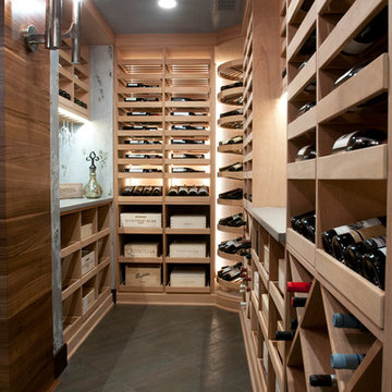 Contemporary Cellar with Revel Features