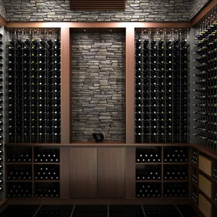 Foto di una cantina design di medie dimensioni con parquet scuro e rastrelliere portabottiglie