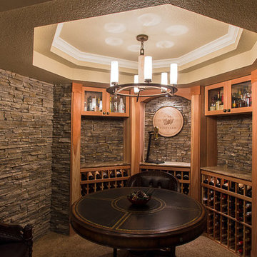 Highlands Ranch Basement