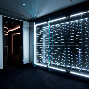 LED Illuminated Glass Enclosed Wine Cabinet