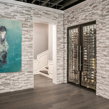 Modern Edgy Basement