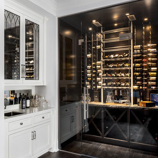 Foto di una cantina minimal di medie dimensioni con parquet scuro, rastrelliere portabottiglie e pavimento marrone