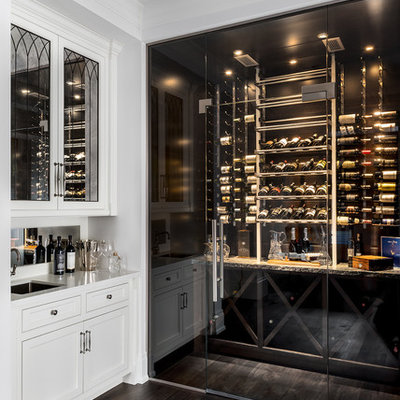 Inspiration for a mid-sized contemporary dark wood floor and brown floor wine cellar remodel in Toronto with storage racks