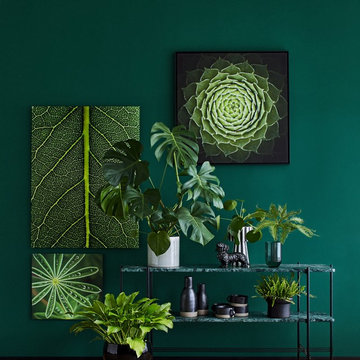 Grüne Wandbilder